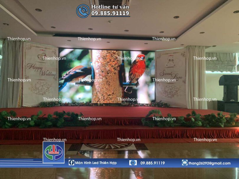 MAN HINH LED P3 TRONG NHA